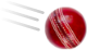 Cricket Ball Image